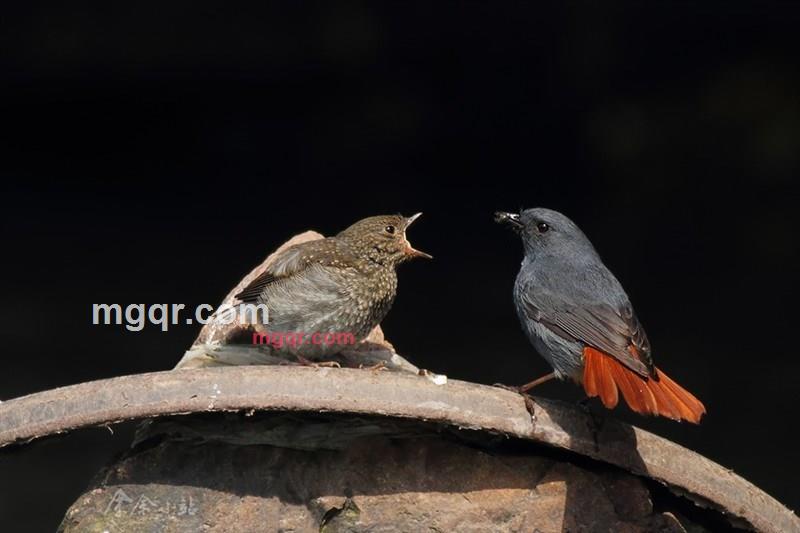 **的的第1张照片