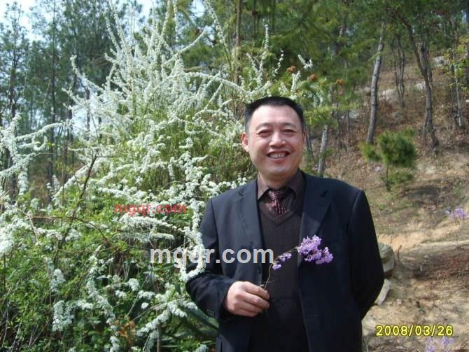 白马的同名的第5张照片