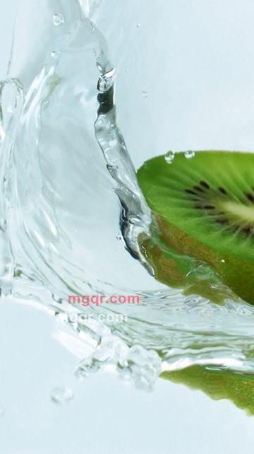 酴醾的第5张照片