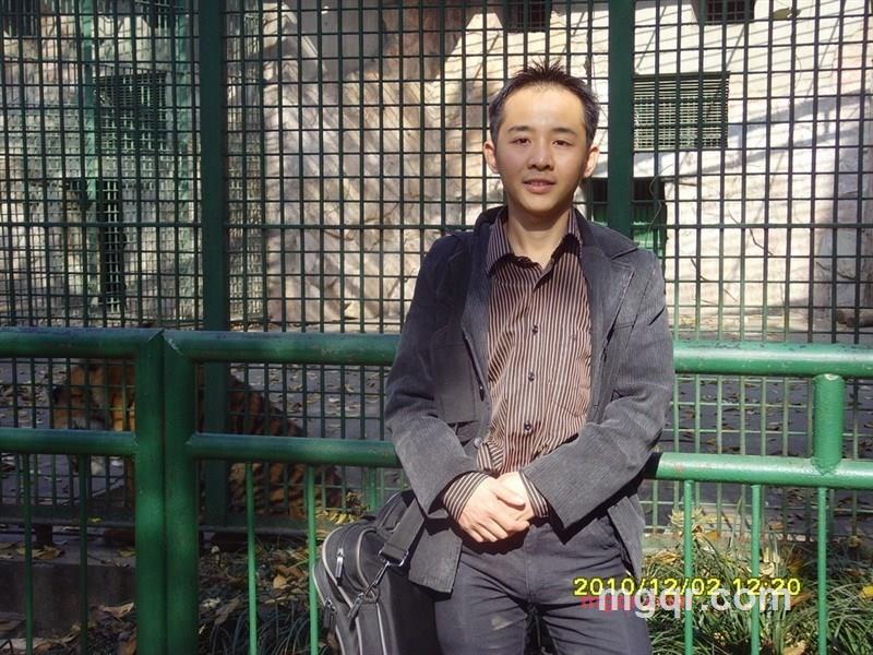 迷路的鸟的第10张照片