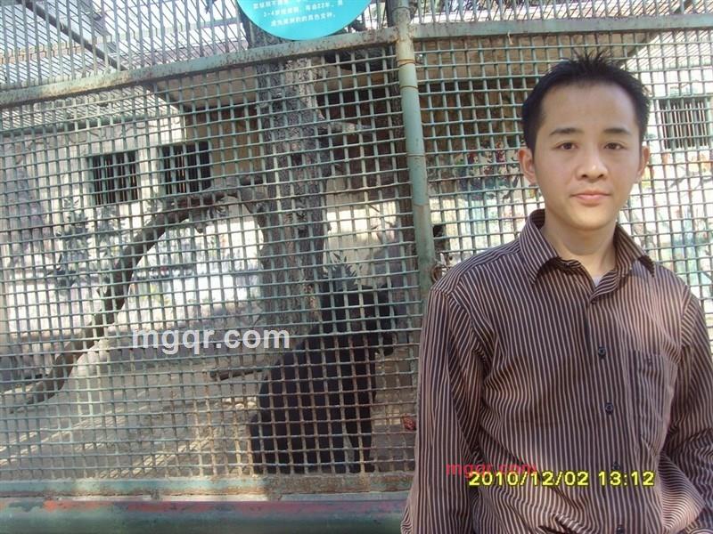 迷路的鸟的第9张照片