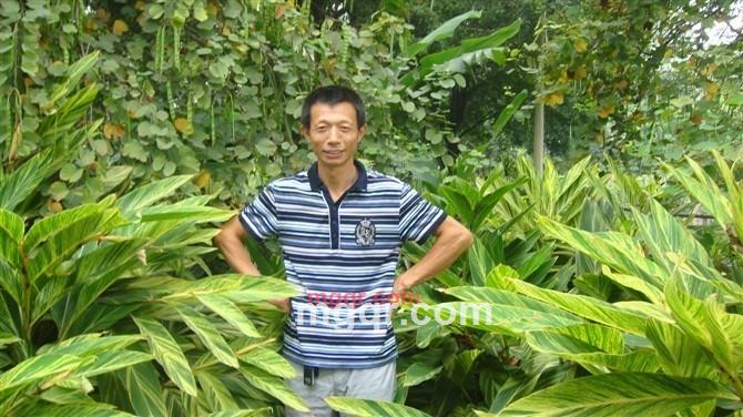 凭栏远眺的第1张照片