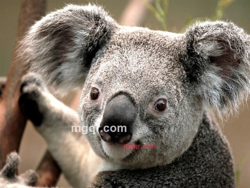 奕少的第1张照片