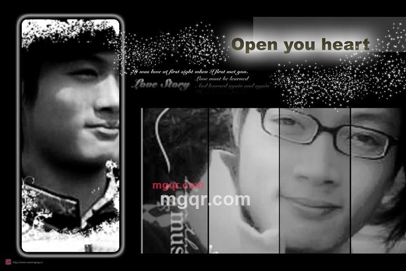 奶牛的第5张照片