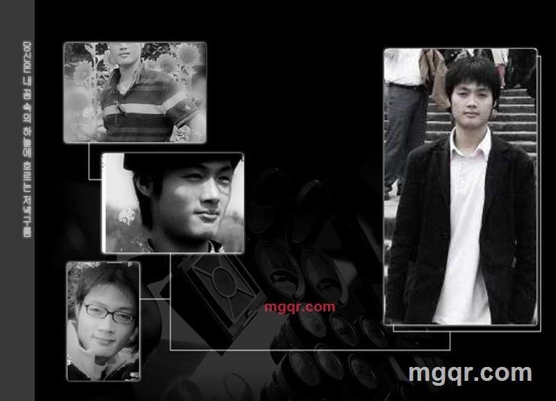 奶牛的第4张照片