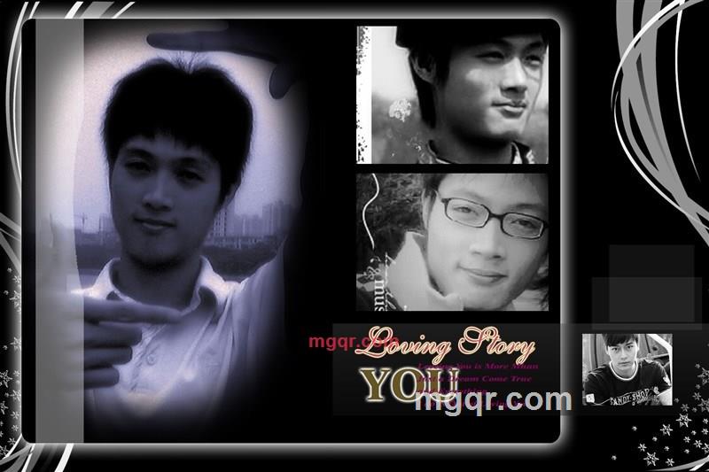 奶牛的第3张照片