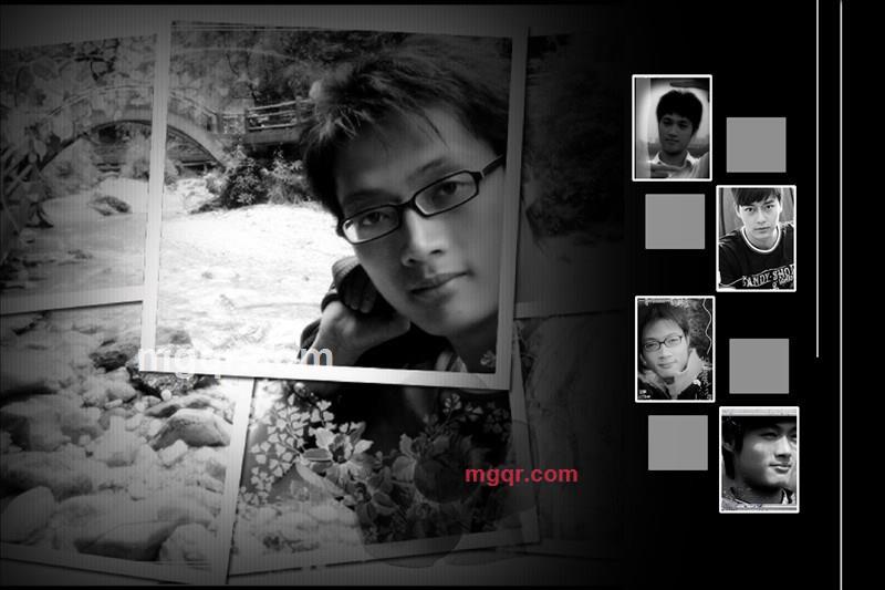 奶牛的第2张照片