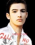 寂寞的蜘蛛的第1张照片