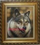 诙谐老狼的第3张照片