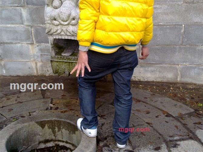 小马1的第5张照片