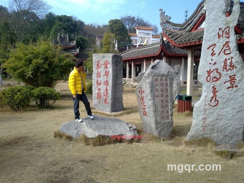 小马1的第1张照片