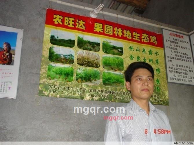 野猪哥的第1张照片