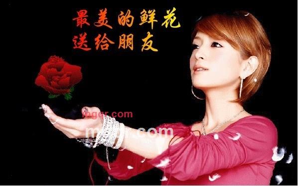 xc8435的第10张照片