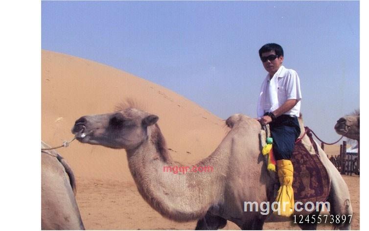 想yaoni的第1张照片