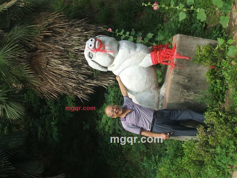 猪八戒49的第3张照片