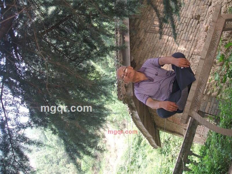 猪八戒49的第2张照片