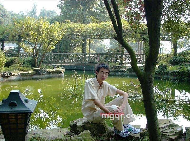 sl113的第1张照片