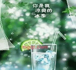 并蒂佳莲的第1张照片