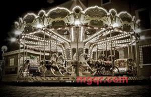 并蒂佳莲的第2张照片