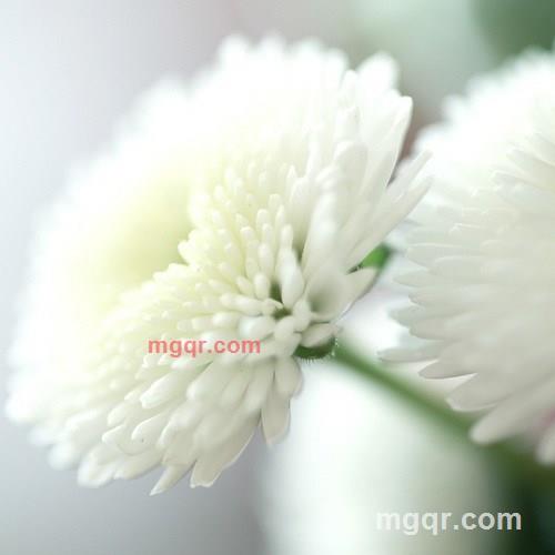 追风者的第9张照片