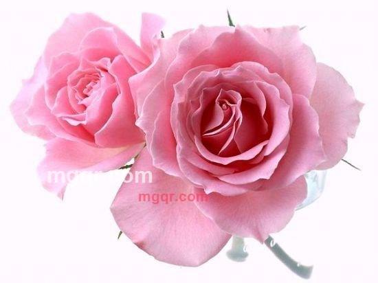 追风者的第8张照片