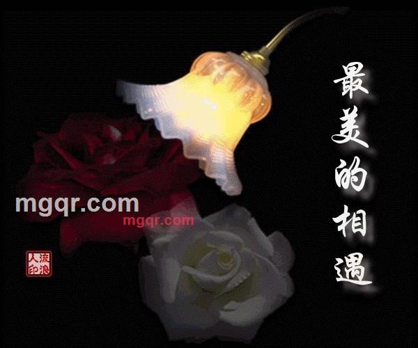 狂野的心的第2张照片