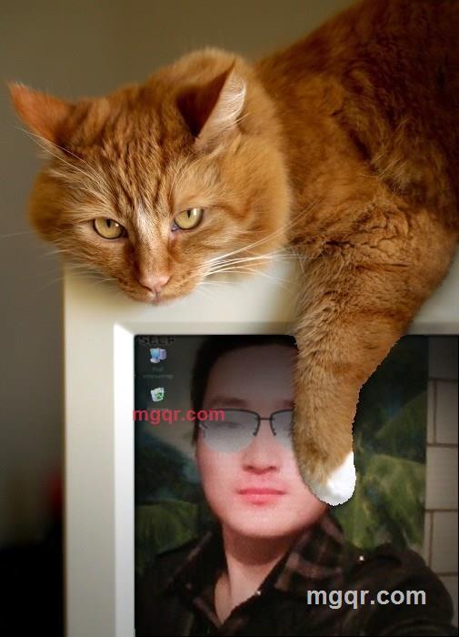 木瓜人的第2张照片