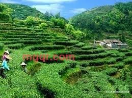 碧海有情天的第8张照片