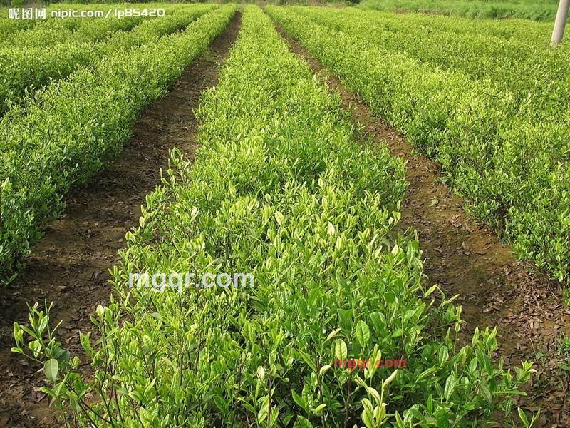 碧海有情天的第7张照片