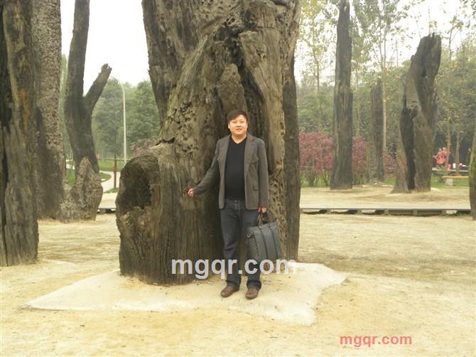 加个杯子的第2张照片