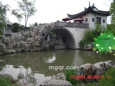 探索人体的第1张照片