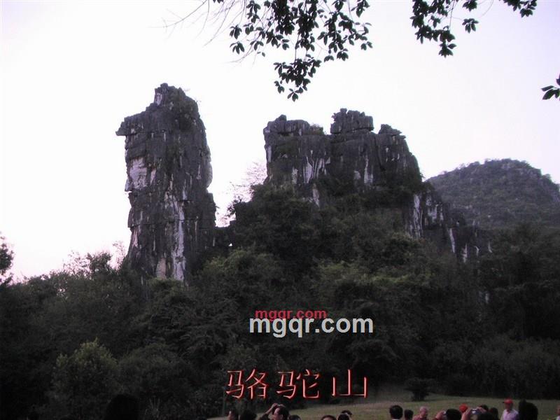 seasawn618的第8张照片