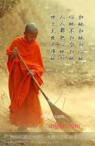 xc8435的第5张照片