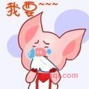 万宝会社的第4张照片