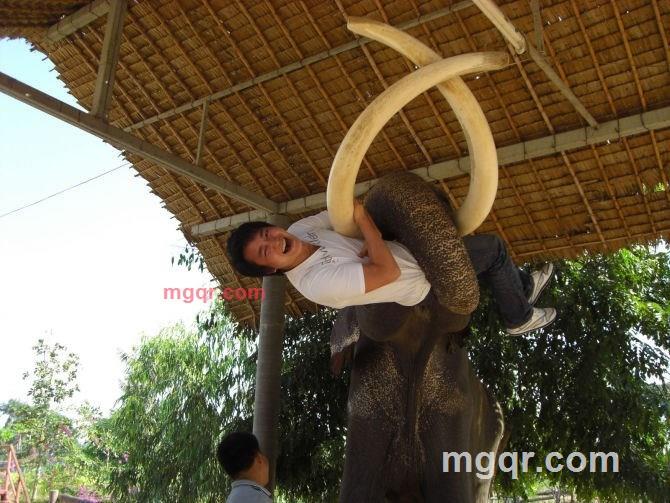 陳凱的第1张照片