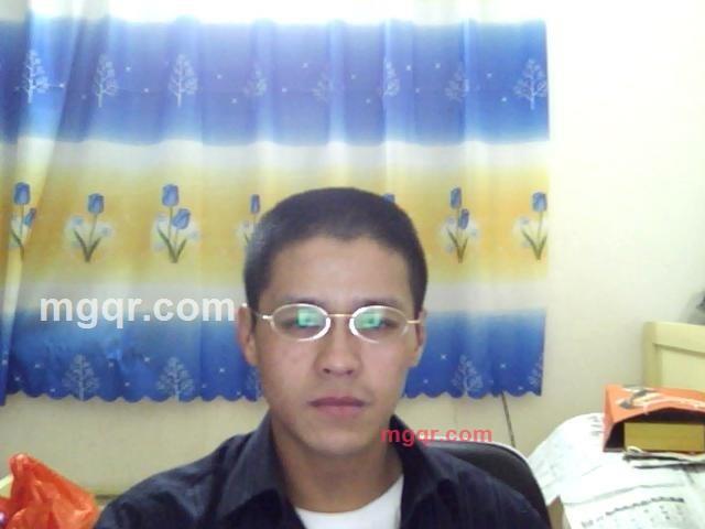 野猪3的第1张照片