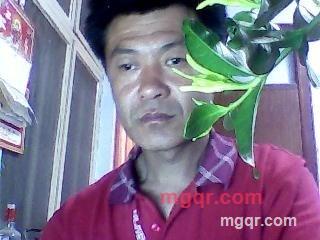 落叶听风的第1张照片