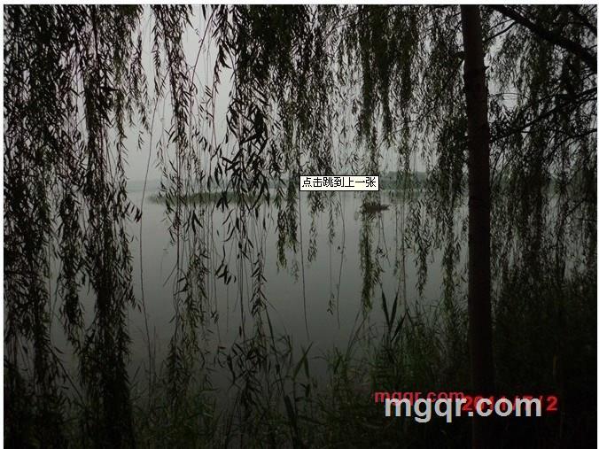 tanghua的第1张照片