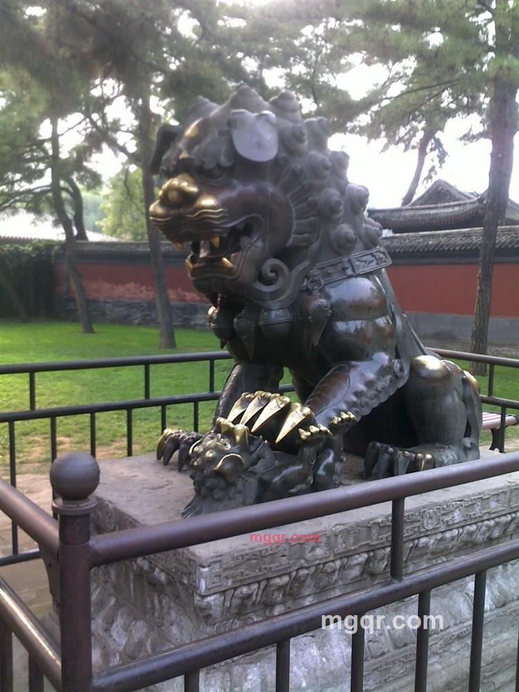 随-缘的第4张照片