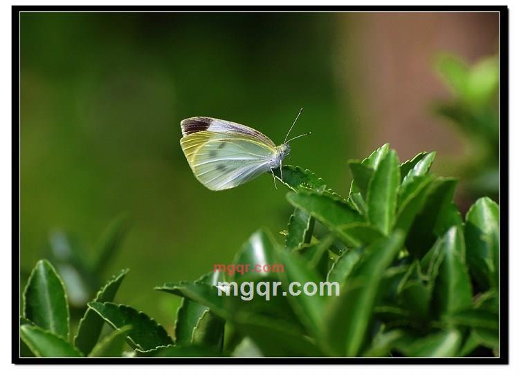 懂情晓性的第8张照片