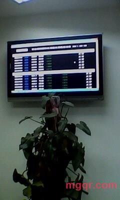 疯狂的猪猪的第7张照片