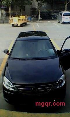 疯狂的猪猪的第4张照片