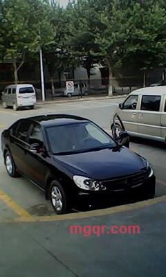 疯狂的猪猪的第3张照片