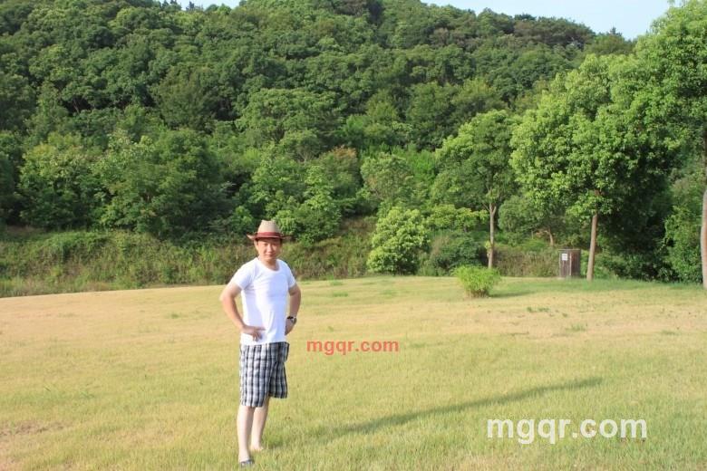 大浪淘沙1974的第1张照片