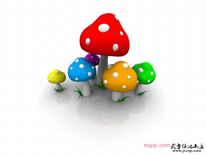 cielen的第1张照片