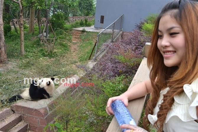 孟雪的第1张照片