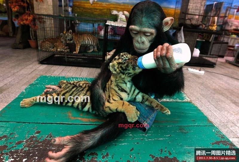 kenneth-lin的第1张照片