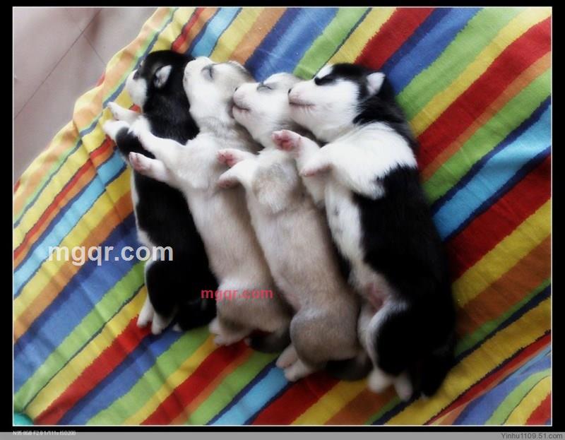 上官子寒的第14张照片