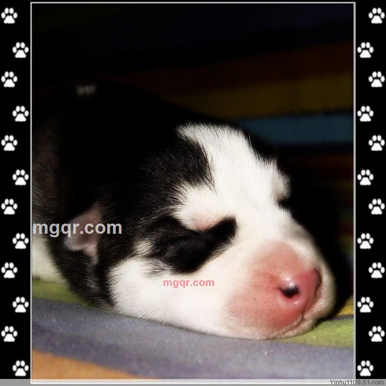 上官子寒的第12张照片