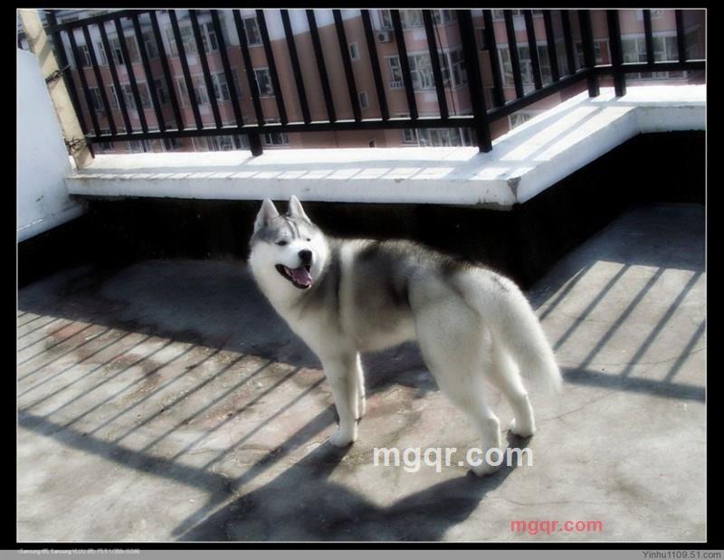 上官子寒的第11张照片